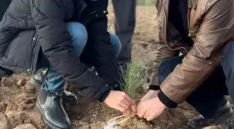 Kırklareli'nde Genç Memur-Sen Sezai Karakoç Hatıra Ormanı Oluşturuldu