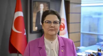 Meclis İnsan Hakları Komisyonu Gazze ziyareti için Mısır'dan tarih bekliyor