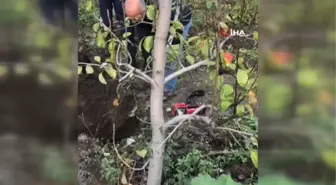İnegöl'de mahsur kalan kuzu itfaiye ekipleri tarafından kurtarıldı