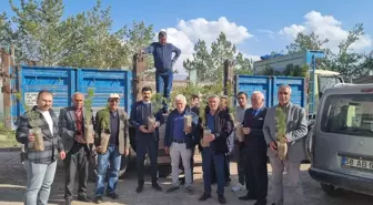 Sivas'ın Ulaş ilçesinde 16 bin fidan toprakla buluşturuldu
