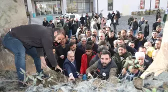 Van'ın Başkale ilçesinde 10 bin badem ve ceviz fidanı dağıtıldı