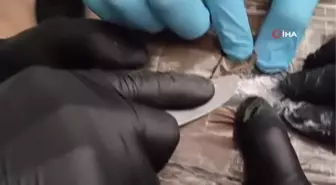 Gümrük Muhafaza ekiplerinin Mersin Limanı'nda gerçekleştirdiği operasyon sonucu 54 kilogram kokain ele geçirildi, olayla ilgisi bulunan 10 kişi...
