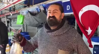 Balıkesir'de Hamsi Bolluğu Yaşanıyor