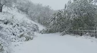 Sakarya'da yaylada mahsur kalan 16 kişi kurtarıldı