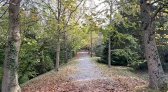 Atatürk Arboretumu Sonbaharda Doğanın Renkleriyle Büyülüyor
