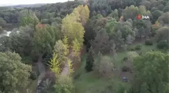 Atatürk Arboretumu'nda kartpostallık manzaralar