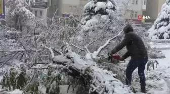 Erzurum'da Yoğun Kar Yağışı Hayatı Felç Etti