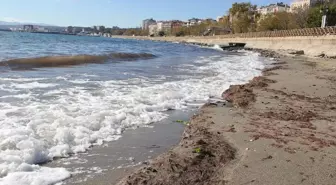 Tekirdağ'da Lodosun Etkisiyle Sahilde Kırmızı Yosun Birikti