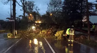 Yalova Belediyesi Ekipleri 274 Olaya Müdahale Etti