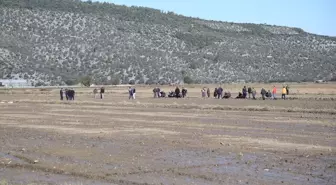 Muğla'da tarlada ölü bulunan kişi