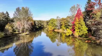 Sarıyer'deki Atatürk Arboretumu Sonbaharın Renkleriyle Ziyaretçilerini Ağırlıyor