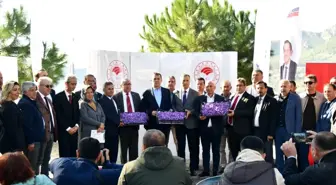 Yenişehir'de Safran Üretimi Üçüncü Yılında