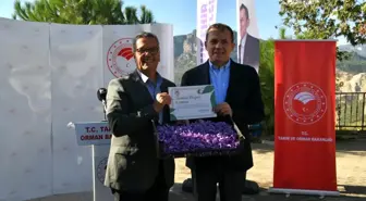 Yenişehir'de Safran Üretimi Üçüncü Yılında