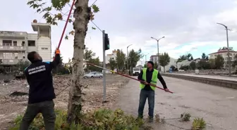 Adıyaman Belediyesi Şehir Genelinde Mevsimsel Budama Çalışmalarına Devam Ediyor