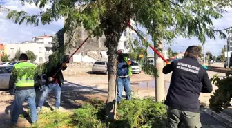 Adıyaman Belediyesi Şehir Genelinde Mevsimsel Budama Çalışmalarına Devam Ediyor