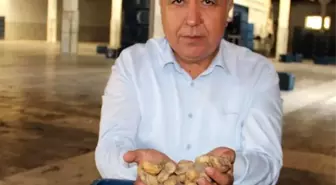 Tariş İncir Birliği Yönetim Kurulu Başkanı Mustafa Bircan İstifa Etti