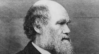 Charles Darwin ve devrim niteliğindeki evrimsel teorileri
