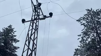 Bolu'nun Mengen ilçesinde elektrik kesintisi yaşanan köylerde arıza gideriliyor