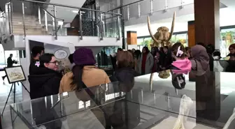 Kayseri Büyükşehir Belediyesi'nden 7,5 Milyon Yıllık Fosil Sergisi