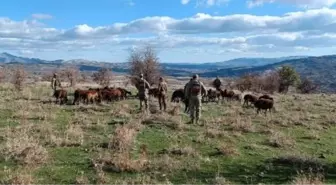 Elazığ'da kaybolan 40 küçükbaş hayvan dron destekli çalışmayla bulundu