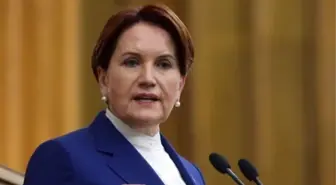 Fatih Akşener kimdir? Meral Akşener'in oğlu Fatih Akşener kimdir mesleği ne?