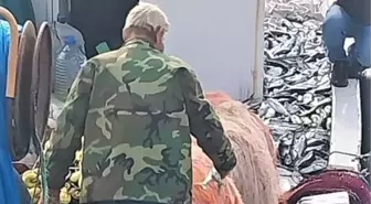 Çanakkale'de binlerce lüfer yakalayan balıkçılar