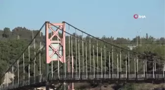 Köprüde arkadaşlarını öldüren kişi tutuklandı