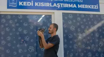 Kuşadası Belediyesi Kedi Kısırlaştırma Merkezi Açtı