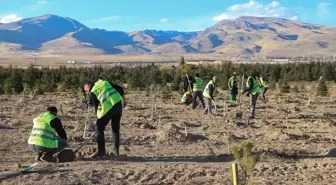 Niğde Belediyesi öğretmenler için 2 bin 872 fidan dikti