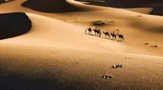 Tebük Savaşı ve islam tarihindeki rolü