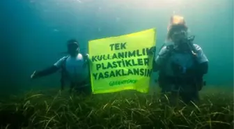 Türkiye'de Tek Kullanımlık Plastiklere Karşı İmza Kampanyaları