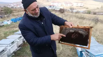 Yozgat Arı Yetiştiricileri Birliği Başkanı: Varroa hastalığına zamanında mücadele edilmeli