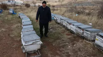 Yozgat Arı Yetiştiricileri Birliği Başkanı: Varroa hastalığına zamanında mücadele edilmeli
