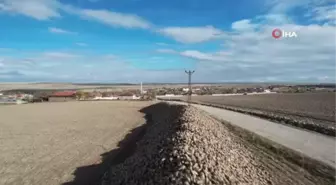 Ankara'da hasat edilen pancarlar, dağ gibi birikti Türkiye şekere doyacak