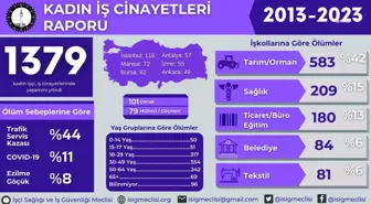 İsig Meclisi'nden 'Kadın İş Cinayetleri' Raporu: '2013'ten Bugüne En Az 1379 Kadın İşçi, 2023'ün İlk 10 Ayında En Az 140 Kadın İşçi İş Cinayetlerinde...