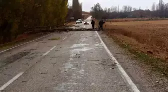 Çorum'un Boğazkale ilçesinde kuvvetli rüzgar nedeniyle ağaçlar devrildi