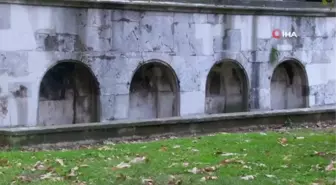 Dünyada ilk hayvan hakları beyannamesi Osmanlı döneminde yürürlüğe girdi