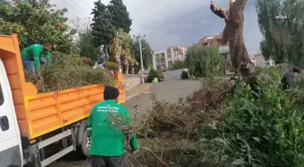 Kuşadası, altyapı çalışmaları sayesinde şiddetli yağışı hasarsız atlattı