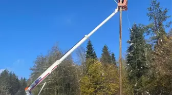 SEDAŞ, Olumsuz Hava Koşullarına Rağmen Enerji Dağıtımını Sürdürdü