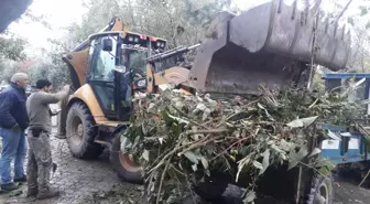 Turgutlu Belediyesi Fırtına ve Yağış Sonrası Devrilen Ağaçlara Anında Müdahale Etti