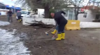 Balıkesir'de fırtına sonrası yaralar sarılıyor