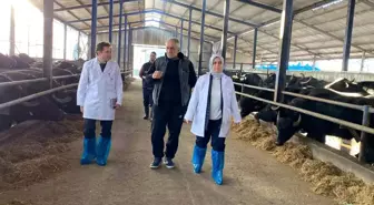 Düzce'de Anadolu Mandasının Halk Elinde Islahı Projesi Destekleniyor