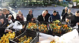 Mezitli Belediyesi İzmit'e Limon ve Mandalina Gönderdi