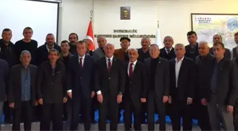 Safranbolu Belediye Başkanı Elif Köse, 2024 yerel seçimlerinde aday adayı olduğunu açıkladı