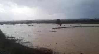 Çanakkale'nin Yenice ilçesinde sağanak yağış tarım arazilerine zarar verdi