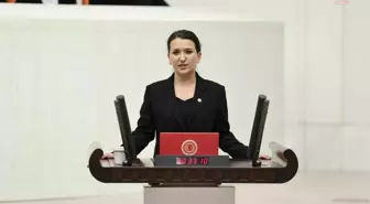 CHP Genel Başkan Yardımcısı Gökçe Gökçen, ÇEDES projesi ile ilgili planı TBMM'ye taşıdı