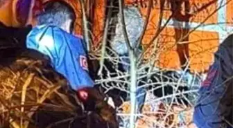 Yaşlı Adam Zeytinli Çayından Kurtarıldı