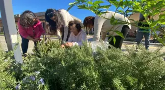 Efes Tarlası Yaşam Köyü'nde Tıbbi ve Aromatik Bitki Yetiştiriciliği Eğitimi Tamamlandı