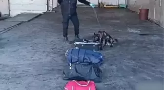 Ticaret Bakanı: Uyuşturucu Ticaretine Darbe İndirdik