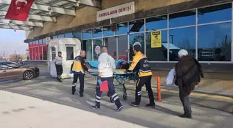 Çorum'da İneğin Boynuz Darbesiyle Yaralanan Kişi Hastaneye Kaldırıldı